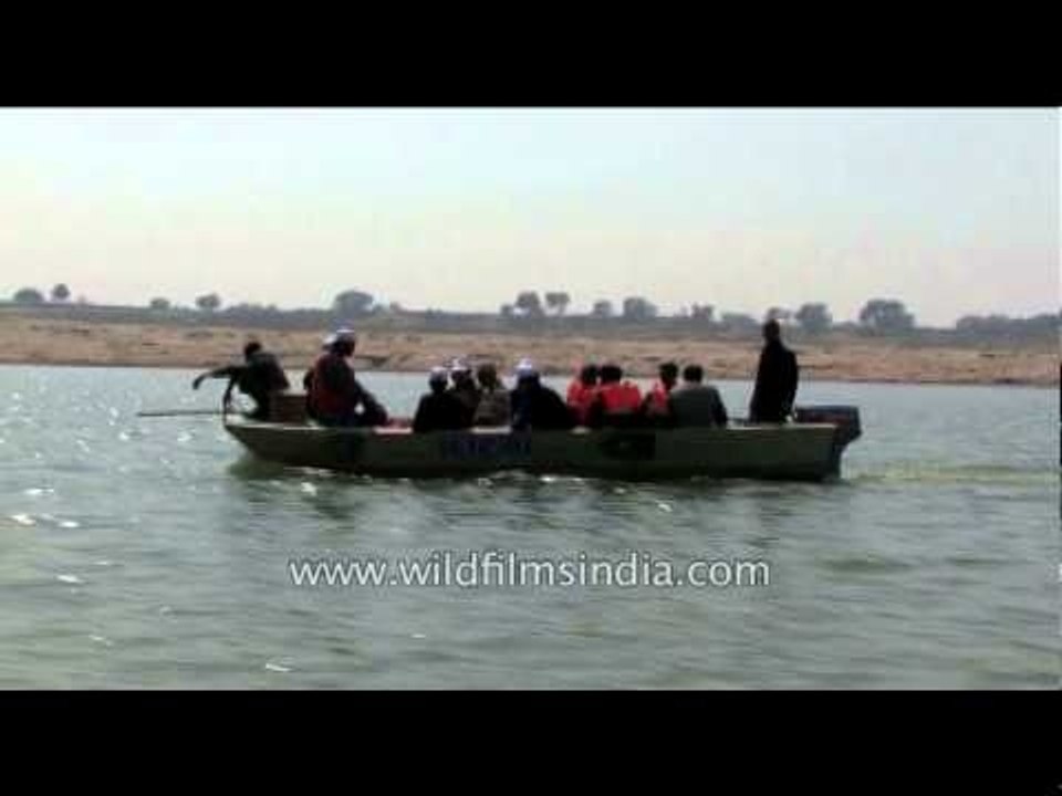 Motor boat moving through the Chambal river