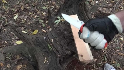 Тест по дереву: Benchmade griptilian 551