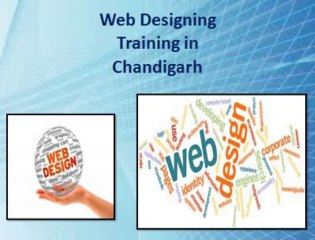 Software Testing Training in Chandigarh