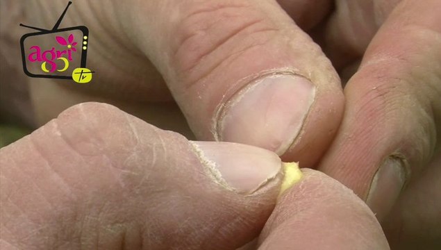 JT agri85TV du vendredi 20 septembre 2013