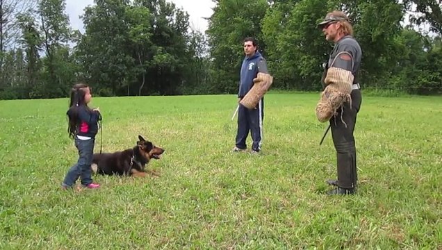 5 years old Girl getting protected by a Dog from 2 bad guys.