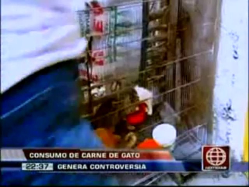 AMERICA-NOTICIAS 0919