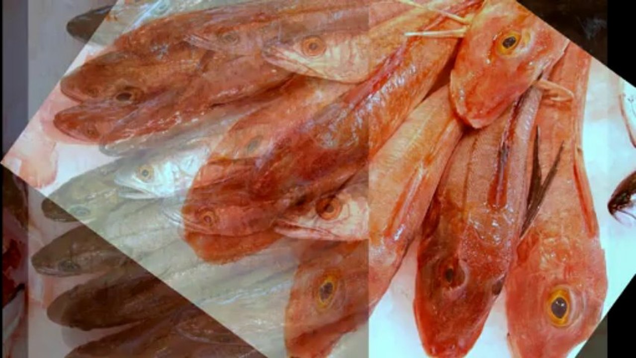 Les Vraies Richesses (la forêt en marche)