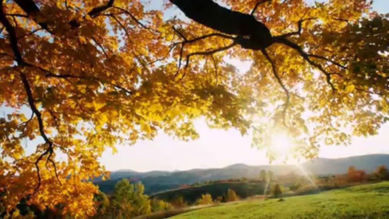 PIOTR SZCZEPANIK - Chciałbym Kiedyś