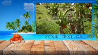 3D Crab Tropical Corporate Display - After Effects Template