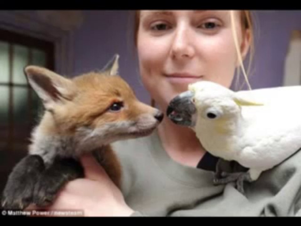 Would Black People Make Better Slave Owners ?, Part 1 of 2