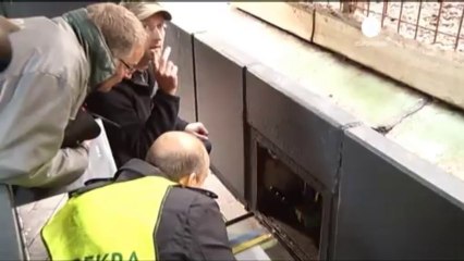 Sibirya kaplanı bakıcısını öldürdü