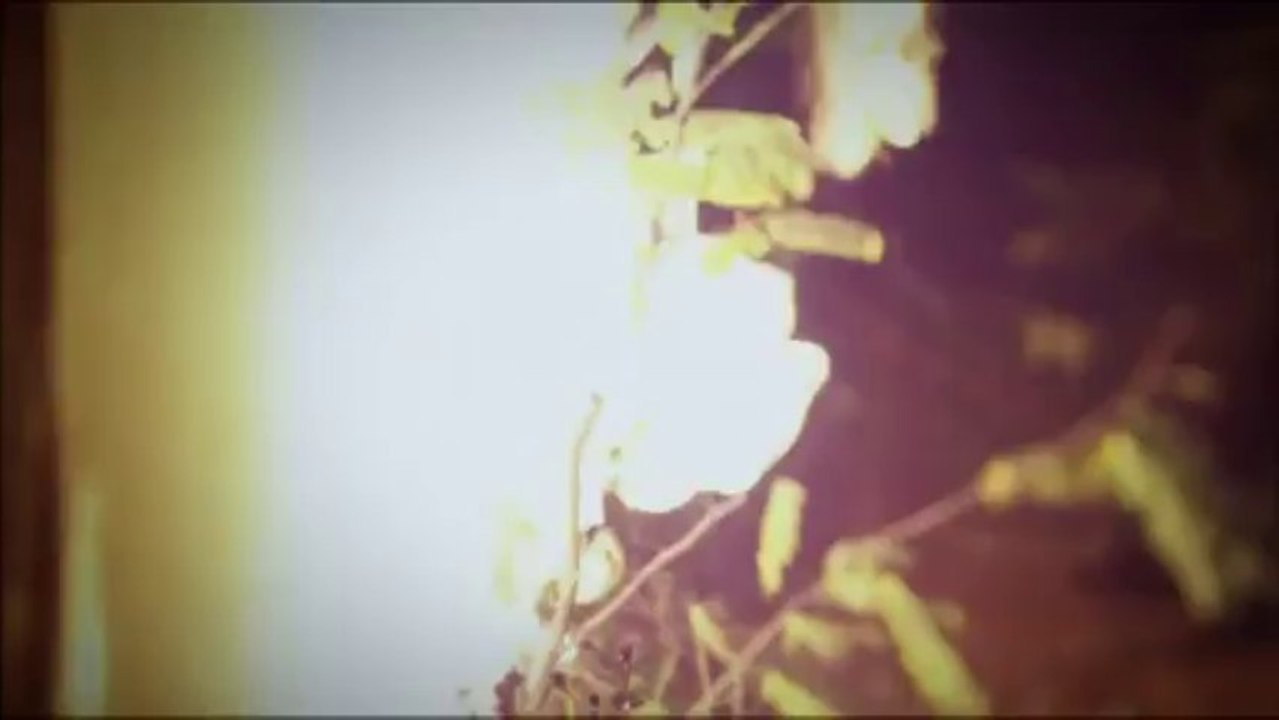 Şubat (11.Bölüm Fragmanı)