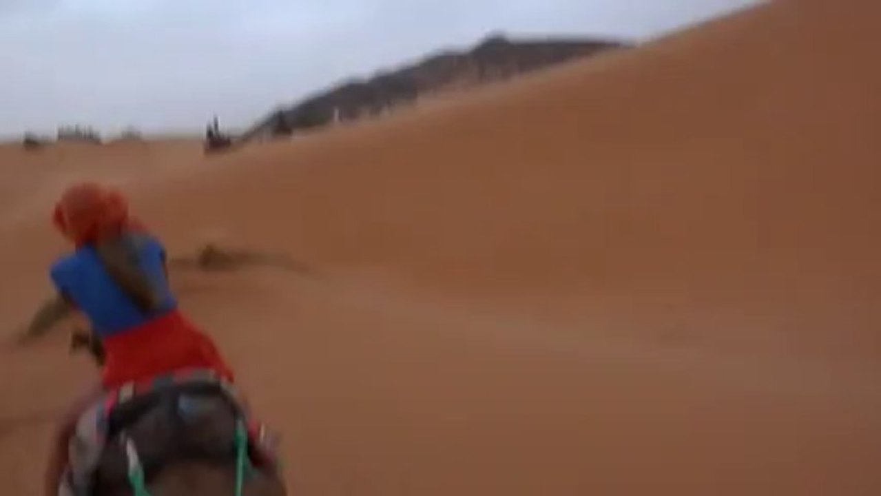 Excursiones en Dromedarios - Excursiones en Camellos - Paseos en Camellos Desierto Merzouga (Erg Chebbi)