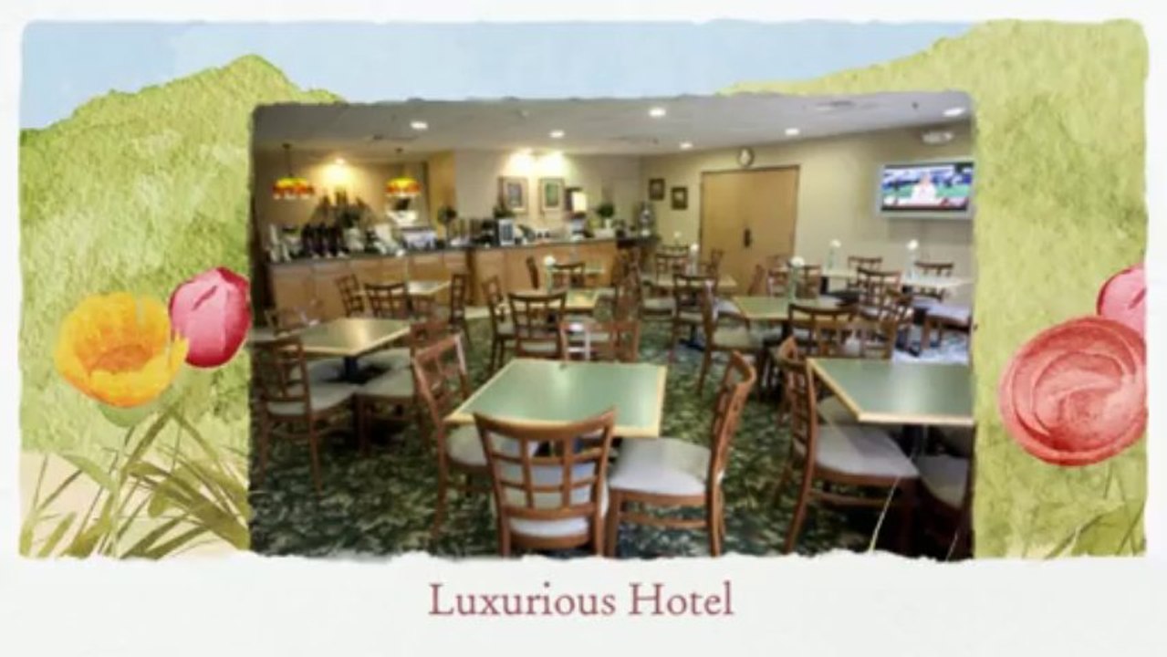 Venice Florida Rental Condos-Rental Apartment FL