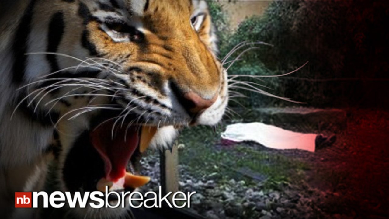 HORRIFYING:  Zookeeper Mauled by Siberian Tiger; Zoo Visitors Witness Incident