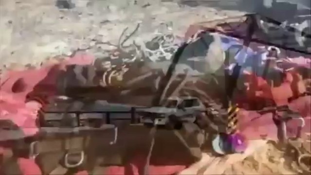 Personal Protection Dogs Alex Dunbar CQB K-9