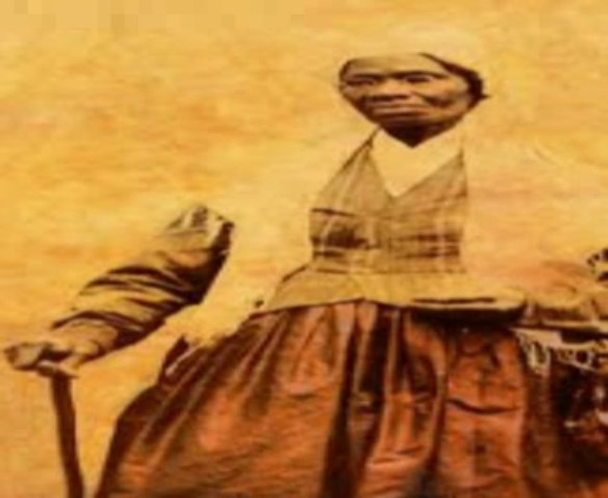 WHITES( NOBODY FORCED U) TO COME TO AMERICA!