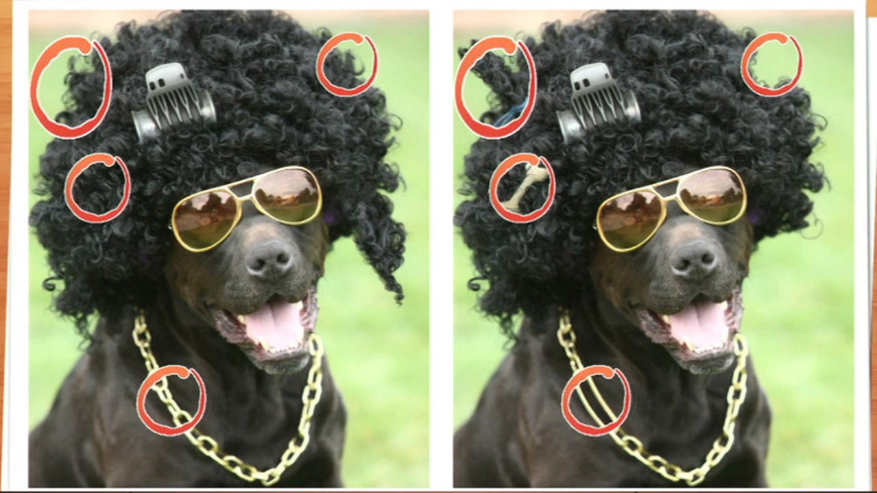 CGR Undertow - SPOT THE DIFFERENCES! PARTY review for Nintendo Wii U