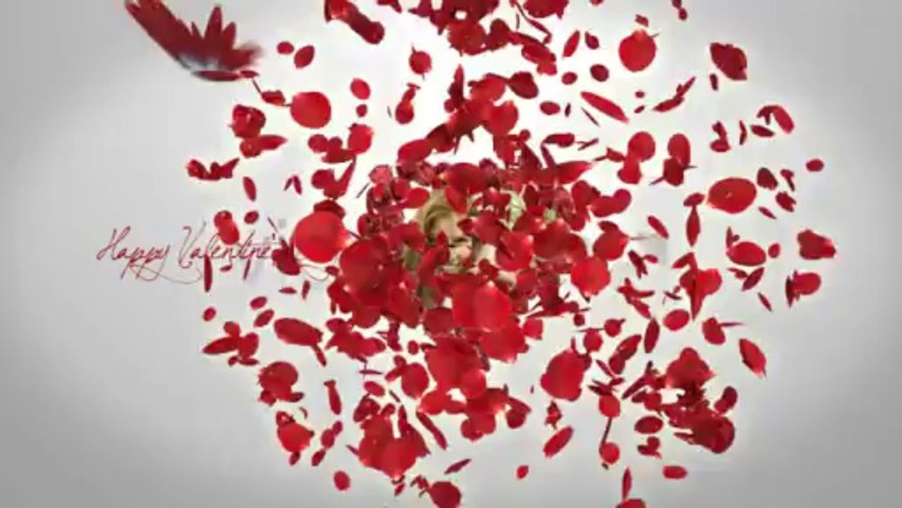 Happy Valentine's Day and Butterfly Kiss - After Effects Template