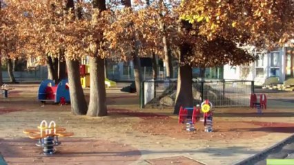 Balade automnale dans Champ/drac