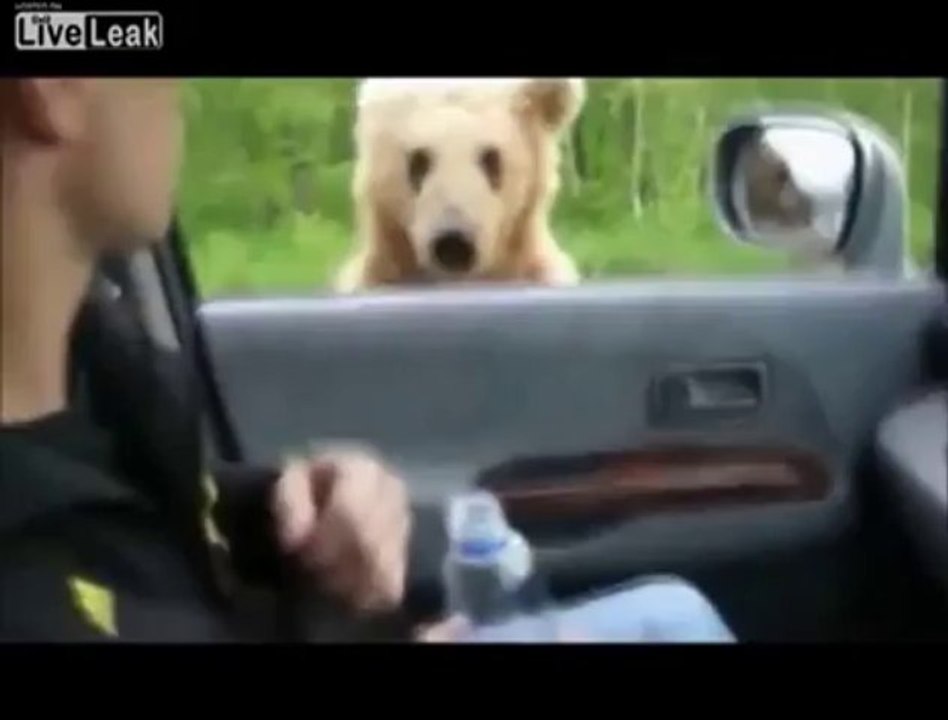 Russian Beggar