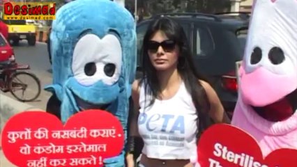 Sexy Sherlyn Chopra NAKED on a White Horse UNCENSORED