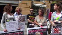 Napoli - Protesta contro la mattanza dei cani randagi in Romania (20.09.13)