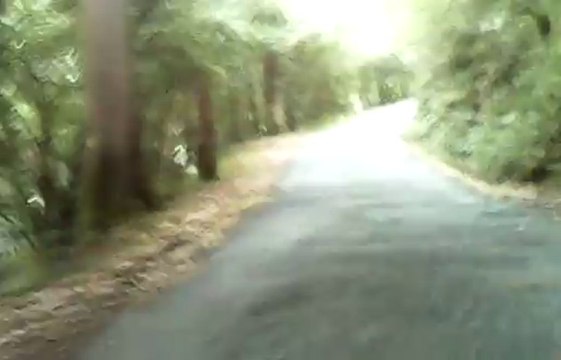 Bicicletas electricas