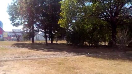 CUBOT GT99 видео 720p@30fps