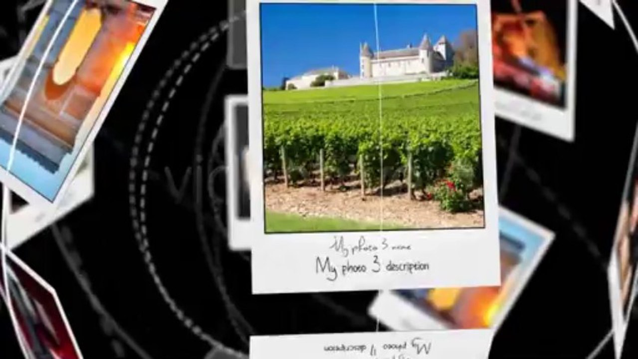 Pola Photographer Moments - After Effects Template