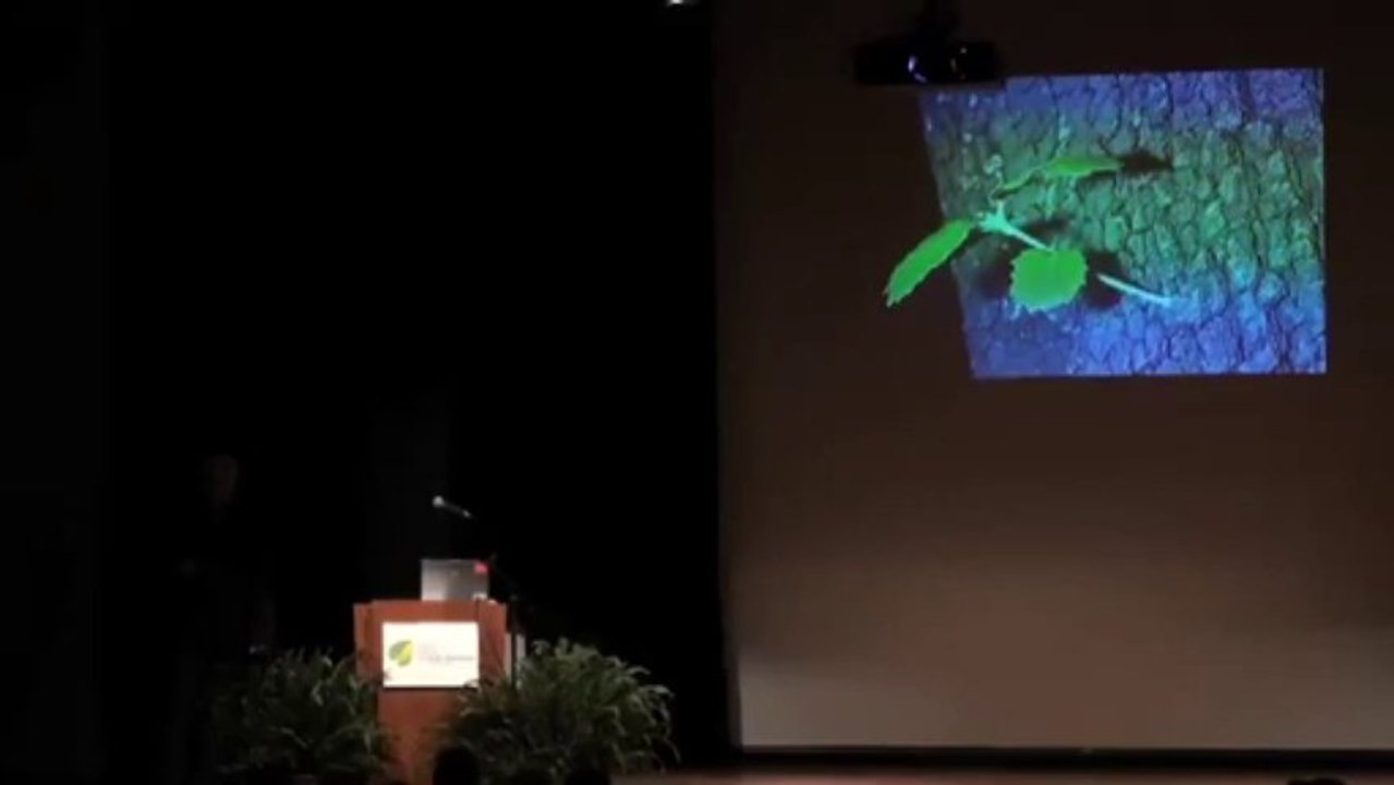 Conférence de Francis Hallé Plaidoyer pour l'arbre 1-2