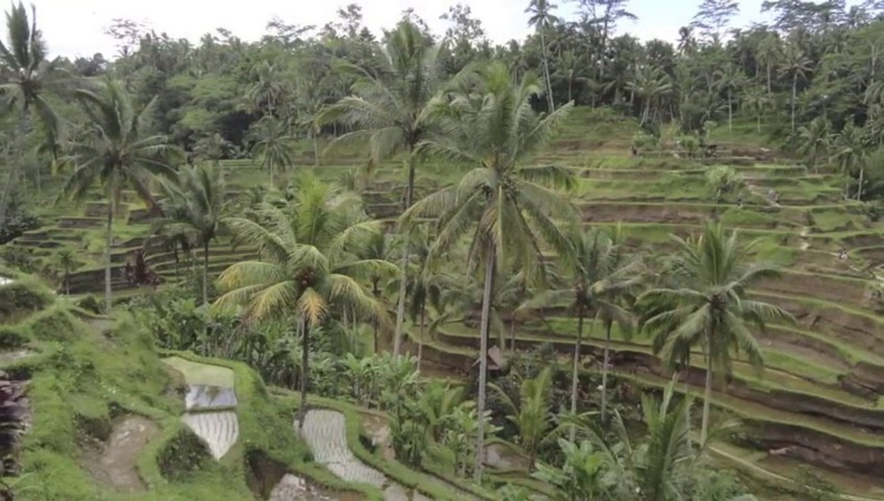 Les kangourou24 et Caro à Bali