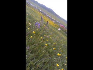 Ardahan Büyüksütlüce Köyü @ MEHMET ALİ ARSLAN Tv