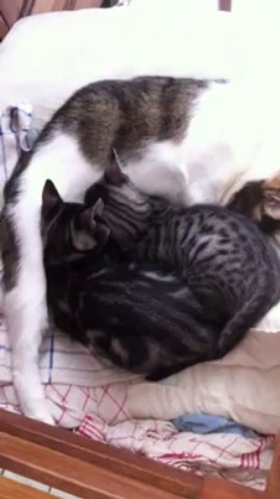 Nounoudenfer_2_22sept13