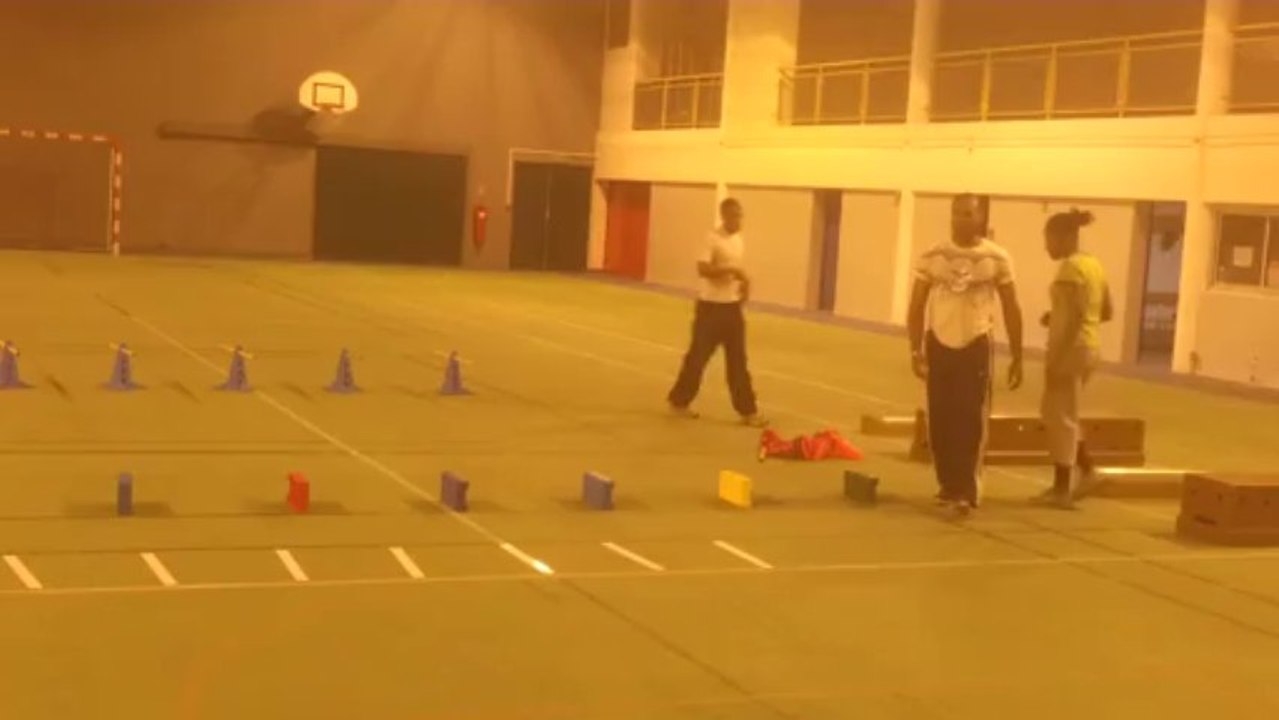 3   PPS EN SALLE DYNAMIQUE D APPUIS PLOTS  LATTES