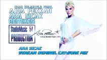 Ozan Çolakoğlu feat. Ajda Pekkan - Ara Sıcak & Serkan Demirel Catwork Mix (2013) YENİ
