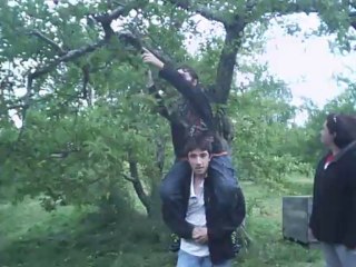 Pommes au Verger de Nicolet