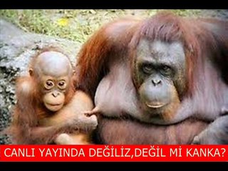 İzlemenden gülmekten öldüren capsler