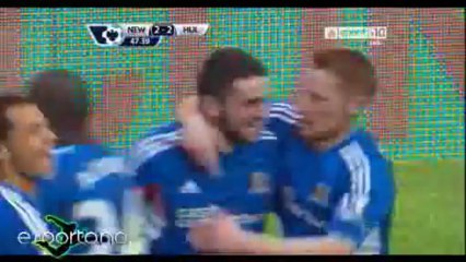 اهداف هال سيتى ضد نيوكاسل