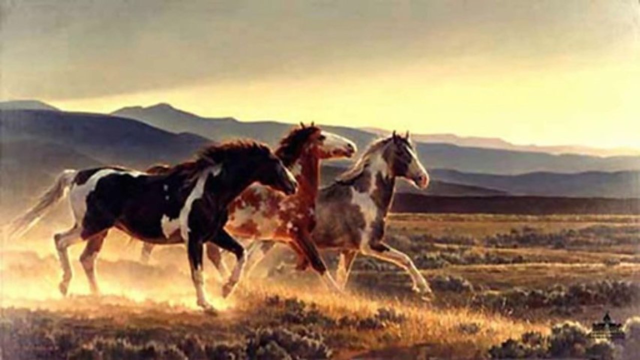 Animal - Wild Horses (PP720p)