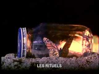 [Bande Annonce] The craft