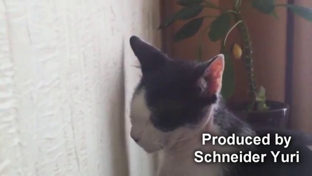 Chat privé de Télé. Puni, va au coin! Trop marrant!