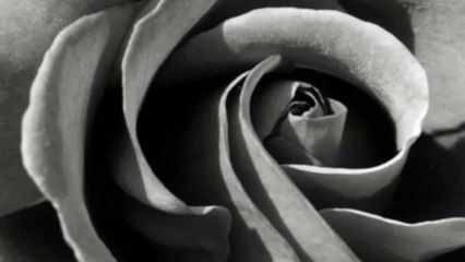 İlk Defa Sende Yaşadım - Ersoy Dinç