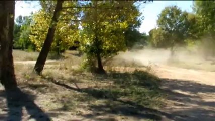 NONO et le polaris 500