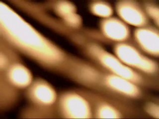 Chaz Knapp...Mort d'une Veuve Solitaire