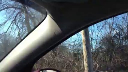 Lets Take A Trip To My Old Hood. East Saint Louis,Illinois Feb 2012