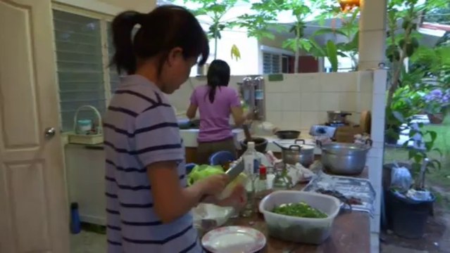 Grenouilles au menu (dvd)