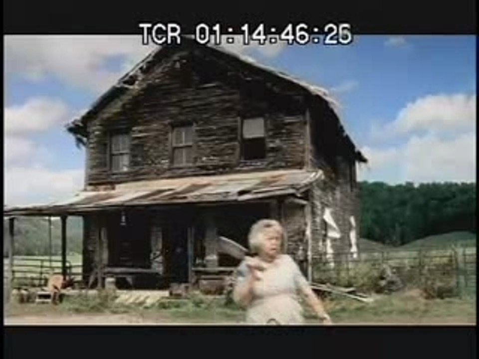 Ma truie - pistolets roses