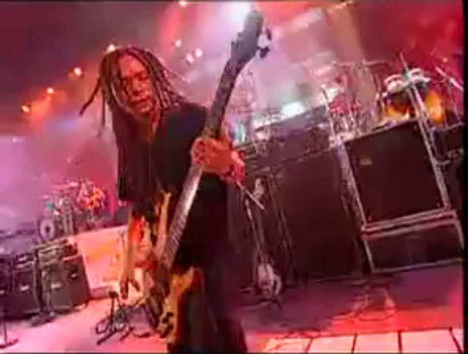 จิ๊จ๊ะ - Silly fools