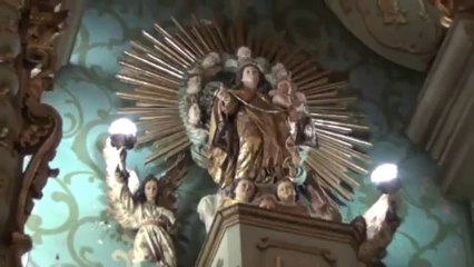 25º DOMINGO DO TEMPO COMUM. ANOC Flos Carmeli.