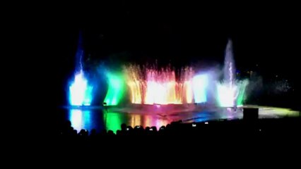 Wasserspiele der Feuerwehr Harsewinkel - 50 Jahre Stadtpark Harsewinkel 2013 (2)