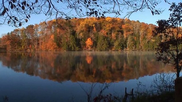 Thomas Fersen - Pommes, Pommes, Pommes