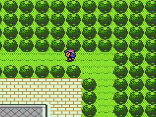 Pokémon version cristal 16) Début du massacre