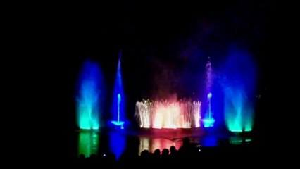 Wasserspiele der Feuerwehr Harsewinkel - 50 Jahre Stadtpark Harsewinkel 2013 (7)